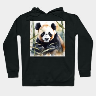 Panda Bear Study Hoodie